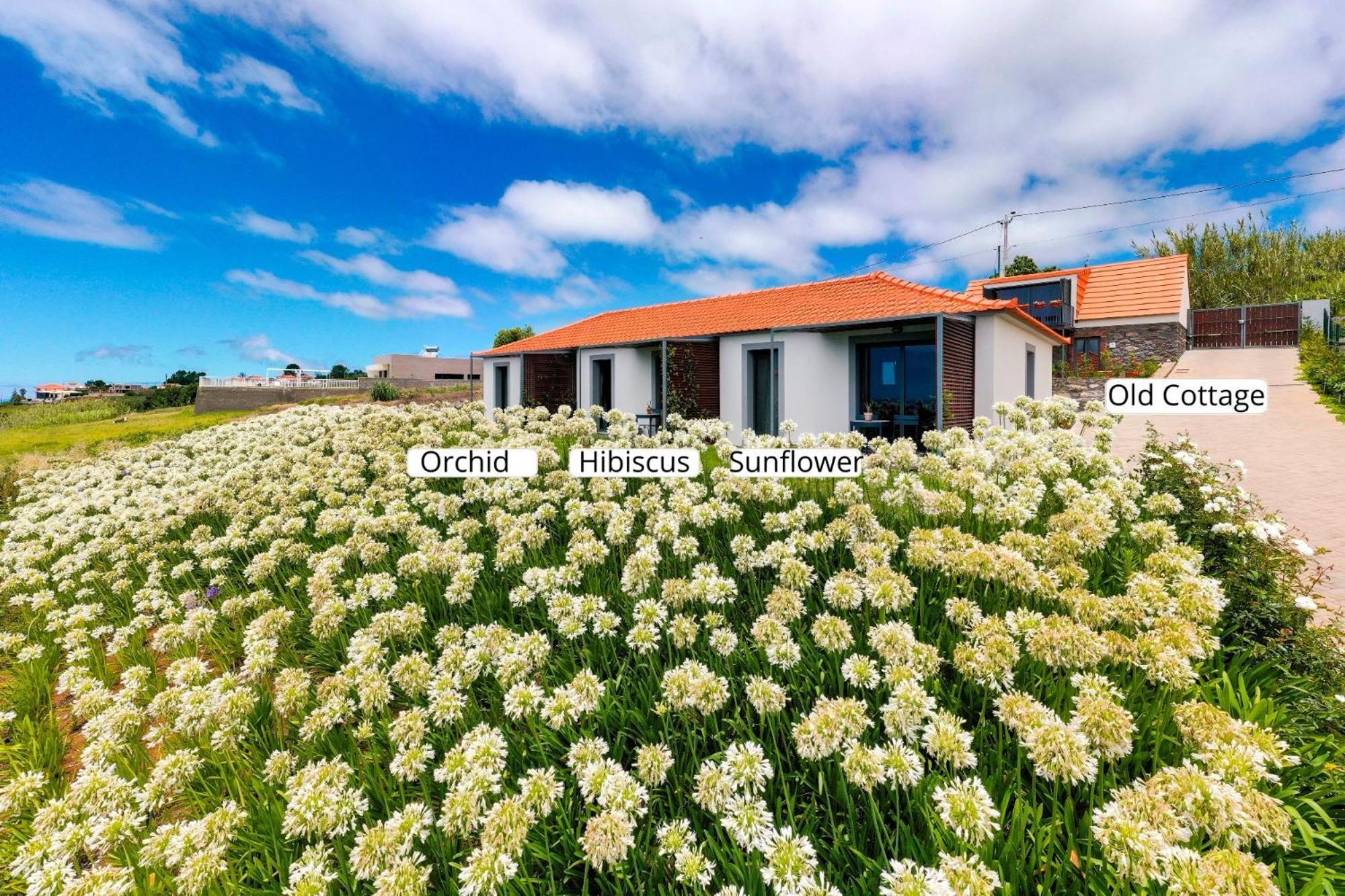 カリェタOurmadeira - Quinta Inacia, Countryside Escapeアパートメント エクステリア 写真